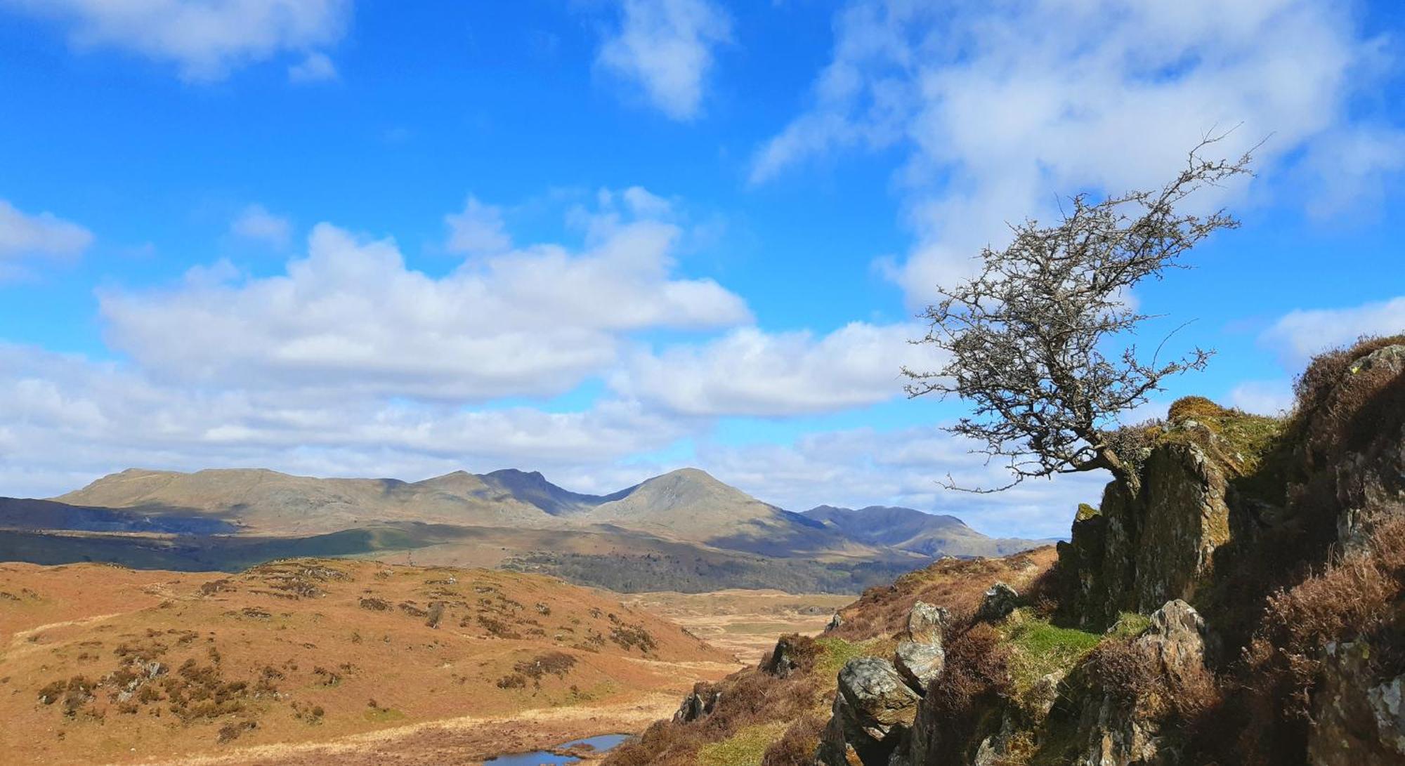 Ling Fell Cottage Ulverston Buitenkant foto